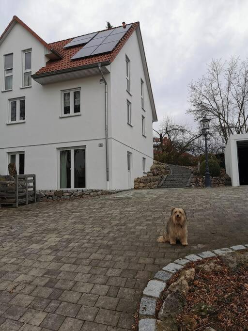 RAuszeit Leilighet Nittendorf Eksteriør bilde